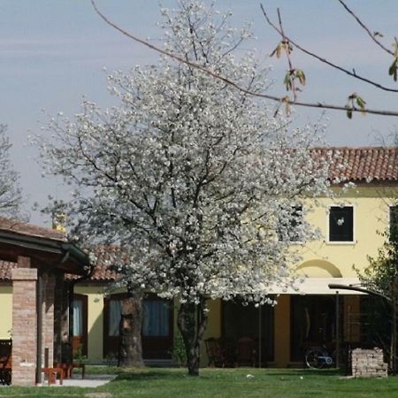 Appartement Particolari Del Brenta à Oriago Extérieur photo