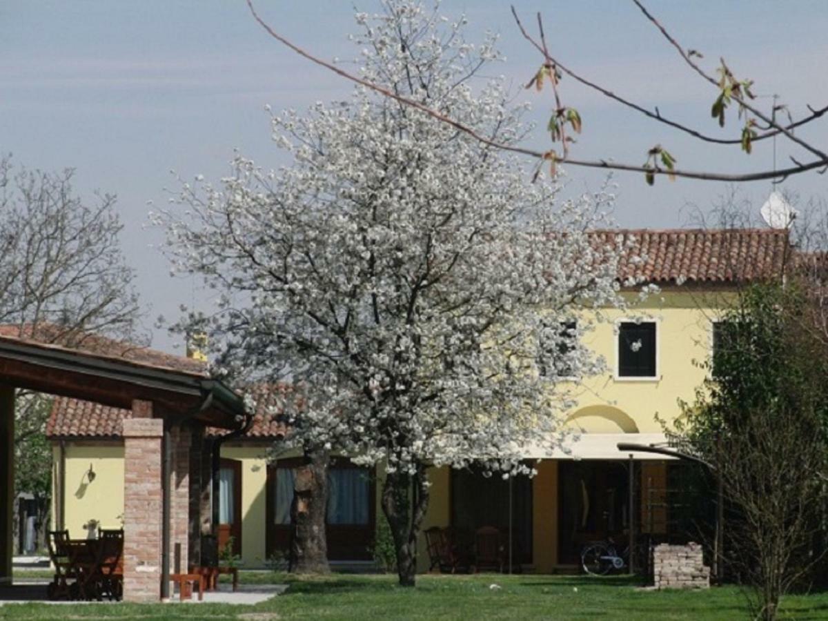 Appartement Particolari Del Brenta à Oriago Extérieur photo